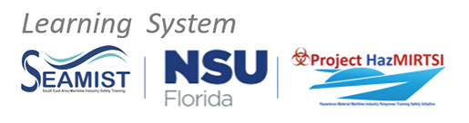 Learning System NSU Florida